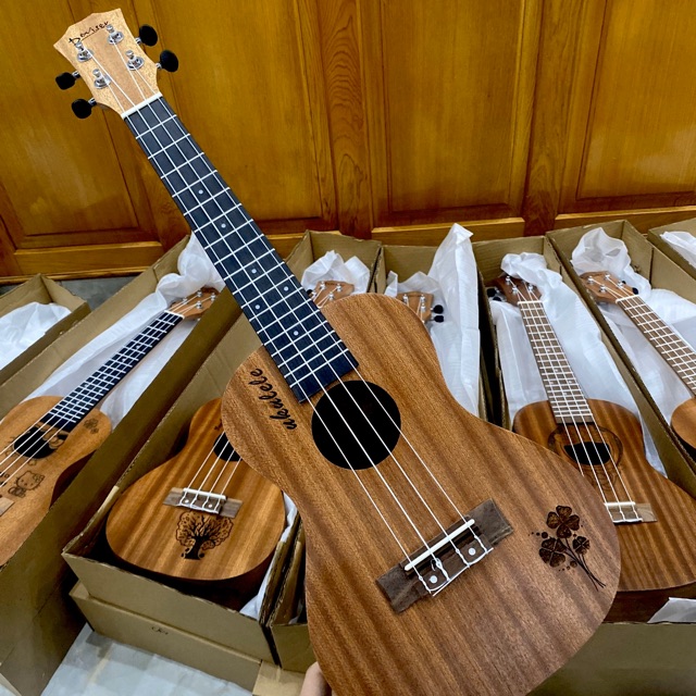 Đàn Ukulele Concert Deviser - Tặng đầy đủ phụ kiện