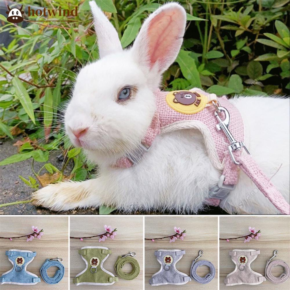 Áo Vest Lưới Có Dây Dắt Cho Thỏ/Chuột Hamster