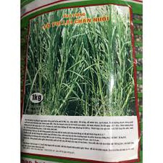 HẠT GIỐNG CỎ VOI GÓI 1KG