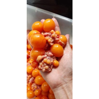 0,5kg Trứng Gà non hàng tươi cấp đông (hoả tốc)