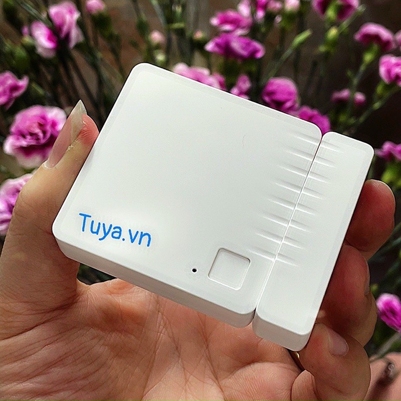 Cảm Biến Má Từ Báo Động Mở Cửa Có Loa Wifi Tuya SHP-MA8