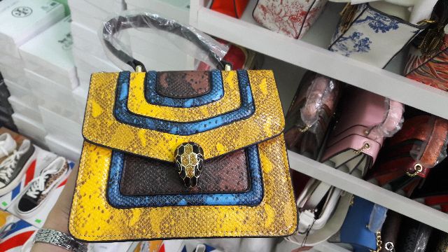 Túi BLV đầu rắn