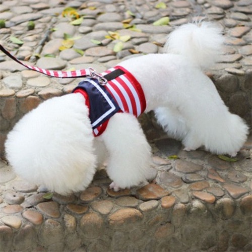 Dây Xích Chó Poodle Kèm Dây Dắt Thú Cưng Đi Dạo Tiện Dụng HB8K