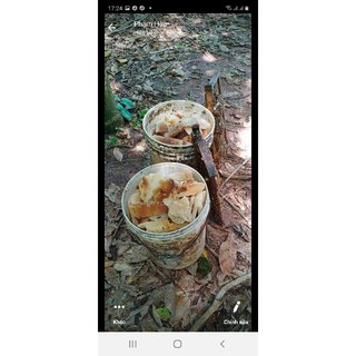 Mật ong nguyên chất