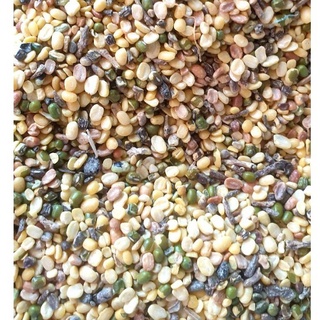 1KG NGŨ CỐC ĐẬU CHO GIA CẦM