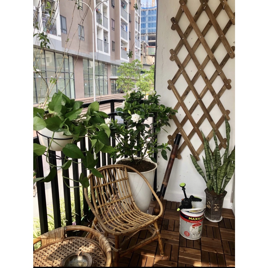 Kệ gỗ treo cây ban công trang trí treo cây hoa KT 200x 60 cm, giàn gỗ hàng rào leo cây có thể thu gọn hình mắt cáo