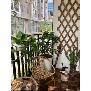 [Cao Cấp] Khung giàn gỗ treo cây ban công, hàng rào, giàn leo hoa hồng gỗ KT 140x 60 cm Goodwood