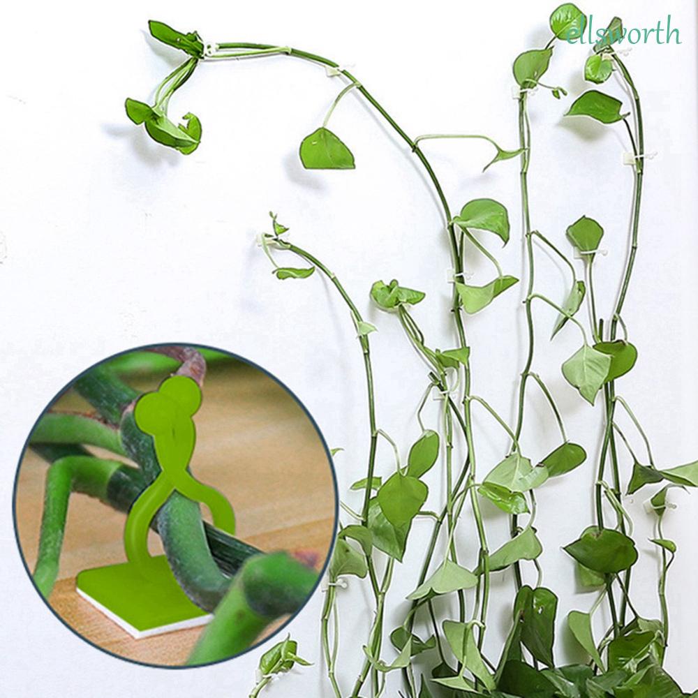 Set 10 / 20 / 50 / 100 Giá Đỡ Cây Dây Leo Gắn Tường Tiện Lợi