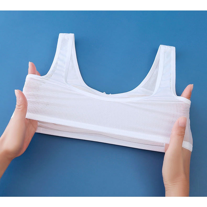 Mẫu Áo Lá Cotton Có Đệm Mút Cho Bé Gái Đi Học