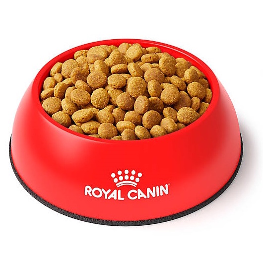 Hạt Dành Cho Mèo Bị Sỏi Thận: Royal Canin Urinary S/O Feline Bao 1.5Kg