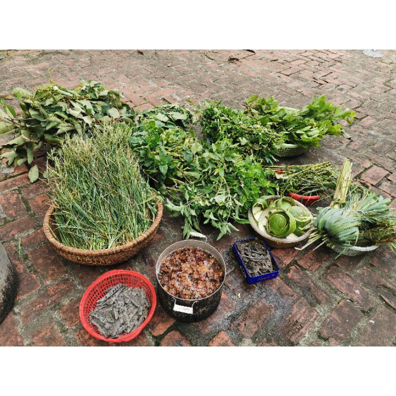 Cặp dầu Gội Xả Thảo Mộc Mọc Tóc, giảm rụng tóc, kích thích mọc tóc, trị gàu không hóa chất, thải độc da đầu, an toàn trẻ | BigBuy360 - bigbuy360.vn