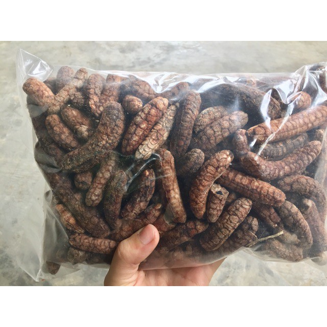 May mắn 1Kg Chuối Hột Rừng nguyên quả phơi khô, ngâm rượu ở trên núi HOT