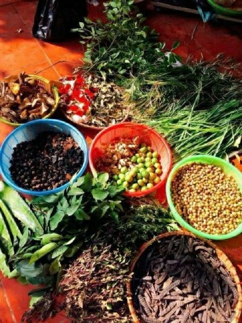 [Giá gốc]Dầu Gội Bồ Kết Hoa Bưởi Trị Rụng Tóc-Nấm-Gàu Hiệu Quả | BigBuy360 - bigbuy360.vn