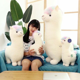 Gấu bông lạc Alpaca mộng mơ - ngộ nghĩnh