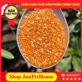 Hạt Kê (bóng) Đỏ Cho Hamster, Chim Vẹt, Yến Phụng Size To