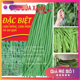 Hạt giống đậu đũa xanh cao sản lucky.vn