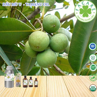 Dầu mù u Tamanu oil - 100ml