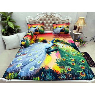 Drap thun cotton 5D lạnh Thái Lan nhập khẩu cao cấp