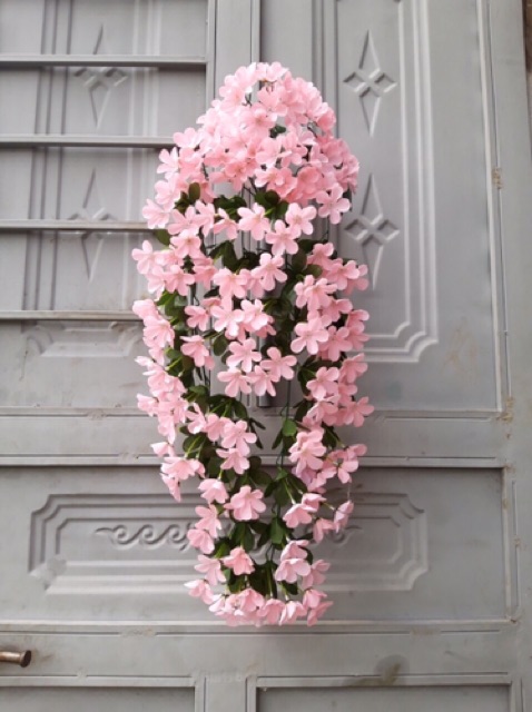 Hoa phi yến treo tường