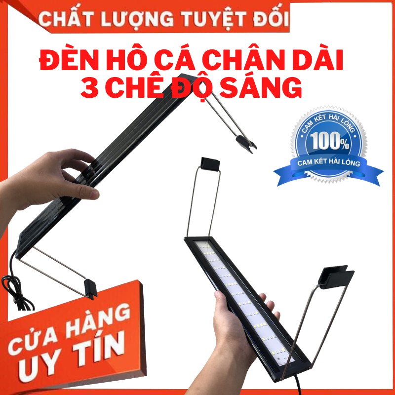 Đèn bể cá ĐỔI MÀU CHÂN CAO dành cho hồ cá hồ thuỷ sinh