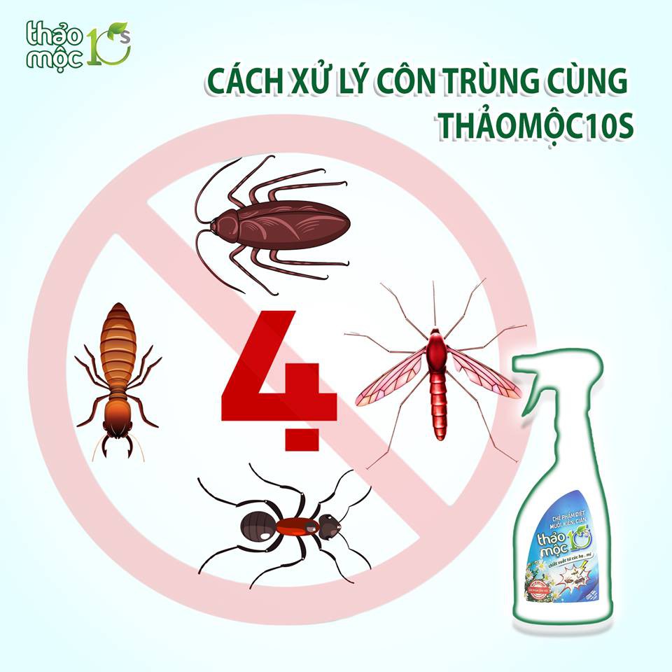 Thảo mộc 10s diệt muỗi,kiến,gián Hữu cơ sinh học