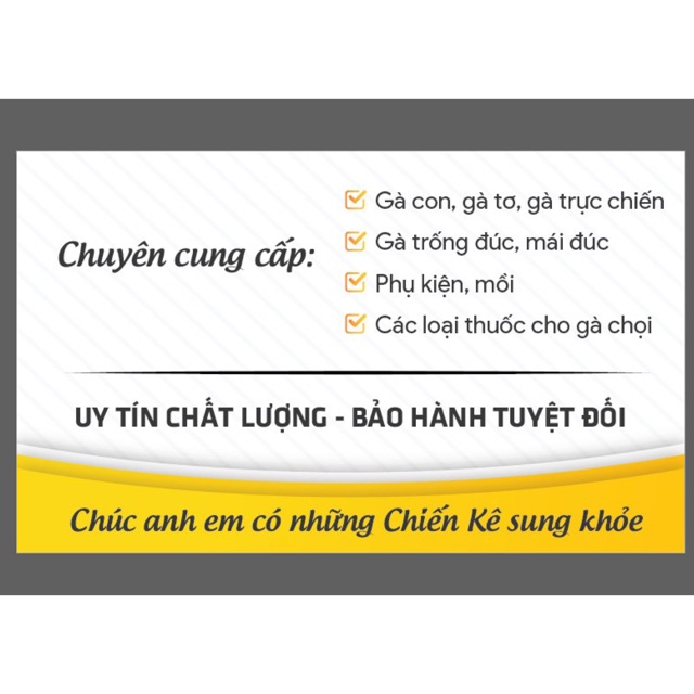 Hoàng Linh gà chọi