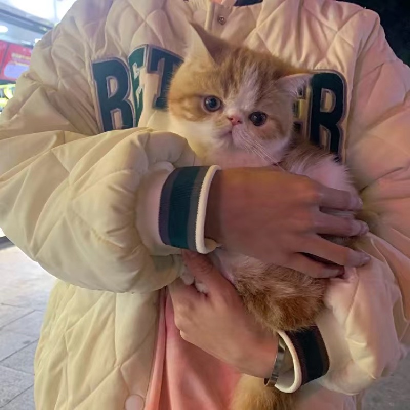 Áo phao bomber unisex nam nữ bigsize