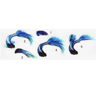 Miếng dán 3d làm bể cá cảnh