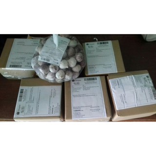 [FREESHIP 99K TOÀN QUỐC]1kg tỏi cô đơn