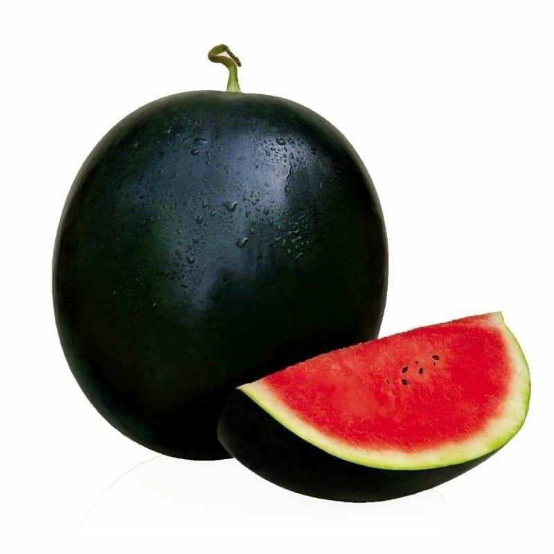 hạt giống dưa hấu