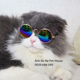 Mắt kính cho mèo thời trang