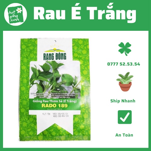 Hạt giống rau thơm Sả - húng trắng- 2 gram
