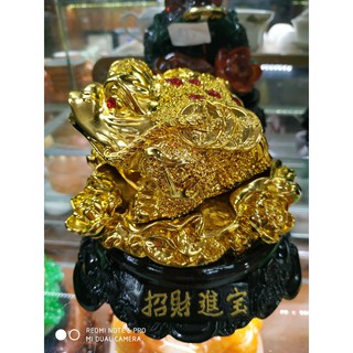 Thiềm Thừ Đế Gỗ ( Ông Cóc )