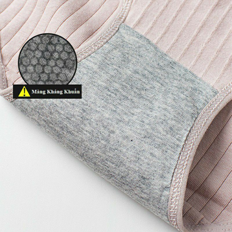 Quần Lót Cotton Tăm phối Nơ Mã QL66