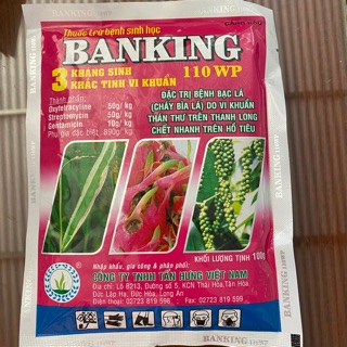 BANKING 110WP – THUỐC ĐẶC TRỊ CÁC BỆNH DO VI KHUẨN GÂY RA TRÊN CÂY TRỒNG