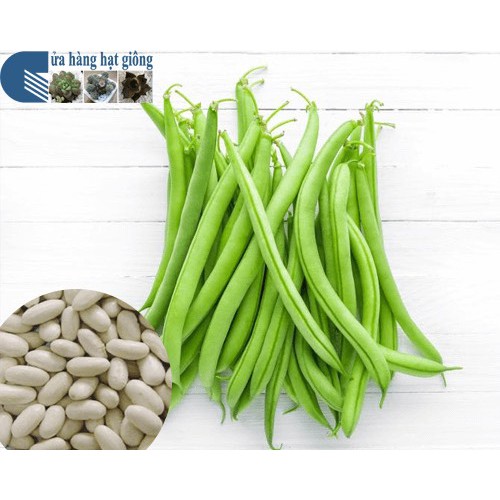 Hạt Giống Đậu Cove F1  Loại Siêu Dễ Trồng, Dễ Thu Hoạch Tặng kèm Hướng Dẫn Trồng