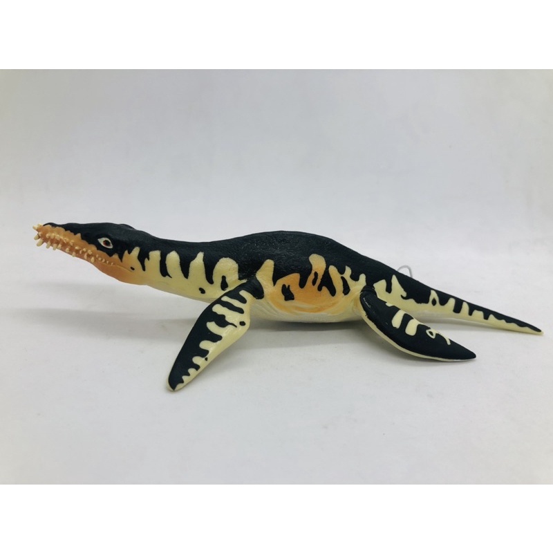Mô hình động vật , đồ chơi con vật CollectA chính hãng khủng long Liopleurodon 88237 - Schleich House