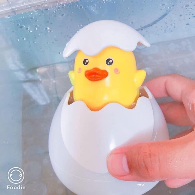 VỊT NƯỚC CHO BÉ