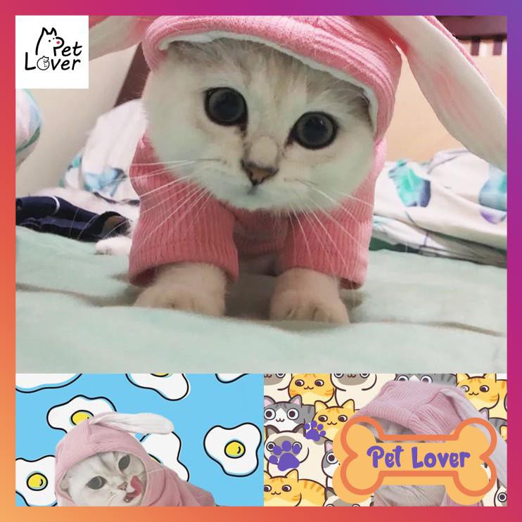 [FREESHIP] Quần áo cho mèo, áo có mũ cho mèo, màu hường siêu cute, form thoải mái, mèo tha hồ chạy nhảy (mũ đội hồng)