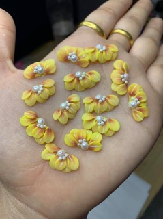 Hoa cúc ruby set 10b đủ nàu
