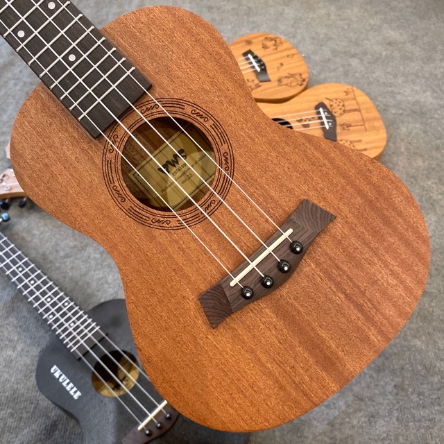 Đàn Ukulele Concert Tenor BWS 23inch - (tặng đủ phụ kiệm+ gồm cả bao đựng )