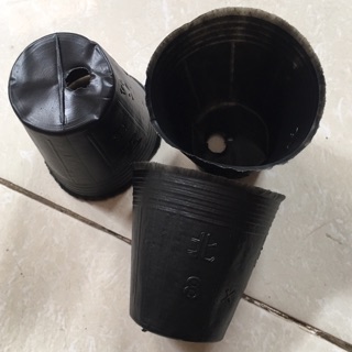 1kg túi bầu ươm cây size nhỏ