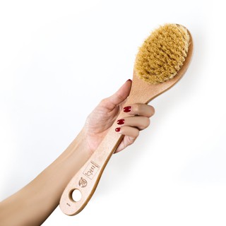 Chổi Tắm Dài Cactus Long Handled Bath Brush The Body Shop