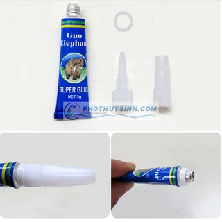 Keo dán rêu, cây thủy sinh