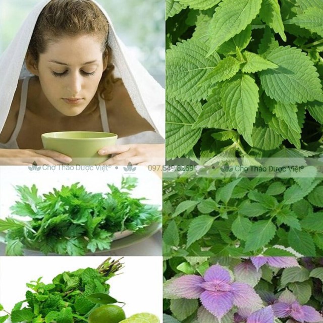 100g Kinh Giới