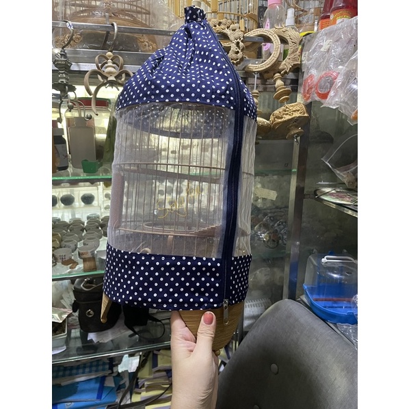 Áo khuyên pha lưới