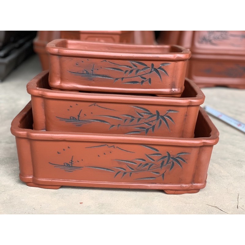 Ang trồng cây bonsai