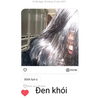 Thuốc nhuộm tóc ĐEN KHÓI, ĐEN RÊU