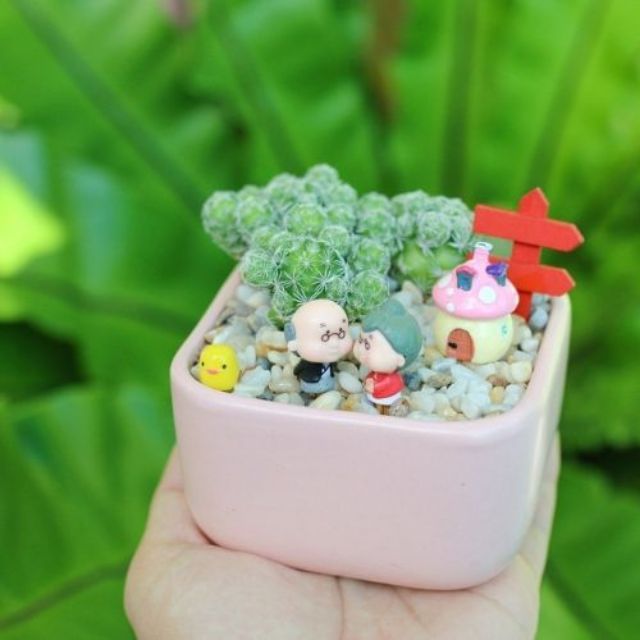 Cọc gỗ chỉ đường, mô hình trang trí tiểu cảnh terrarium