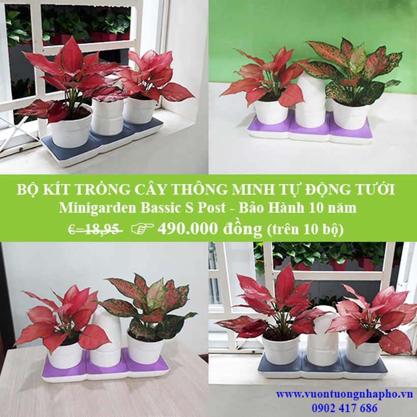 Bộ Chậu Trồng Cây Để Bàn Thông Minh Tự Động Tưới Minigarden Basic S - Phong Cách Châu Âu, BH 10 năm